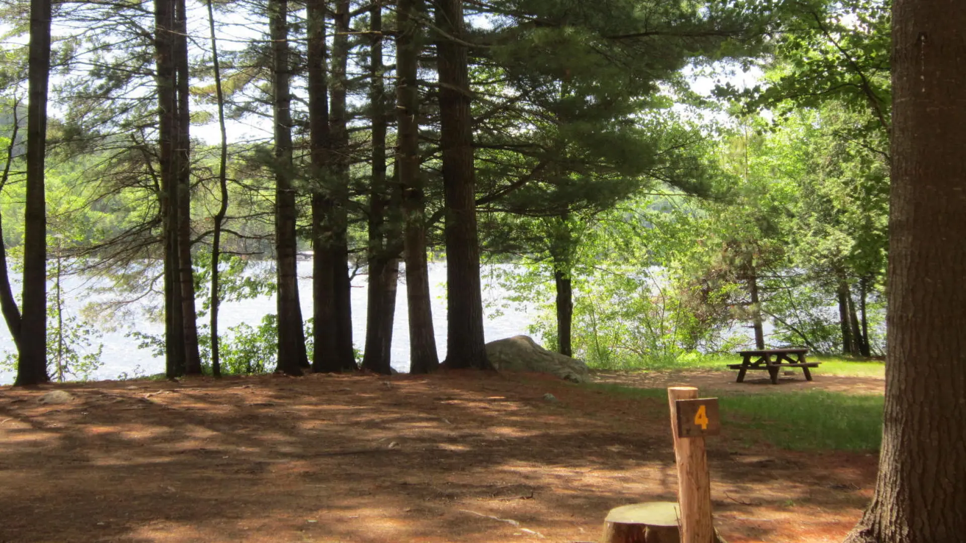 An open area for camping by the water