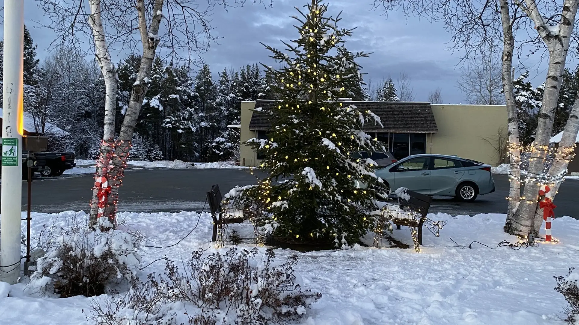 Indian lake Christmas tree outside with lights on it