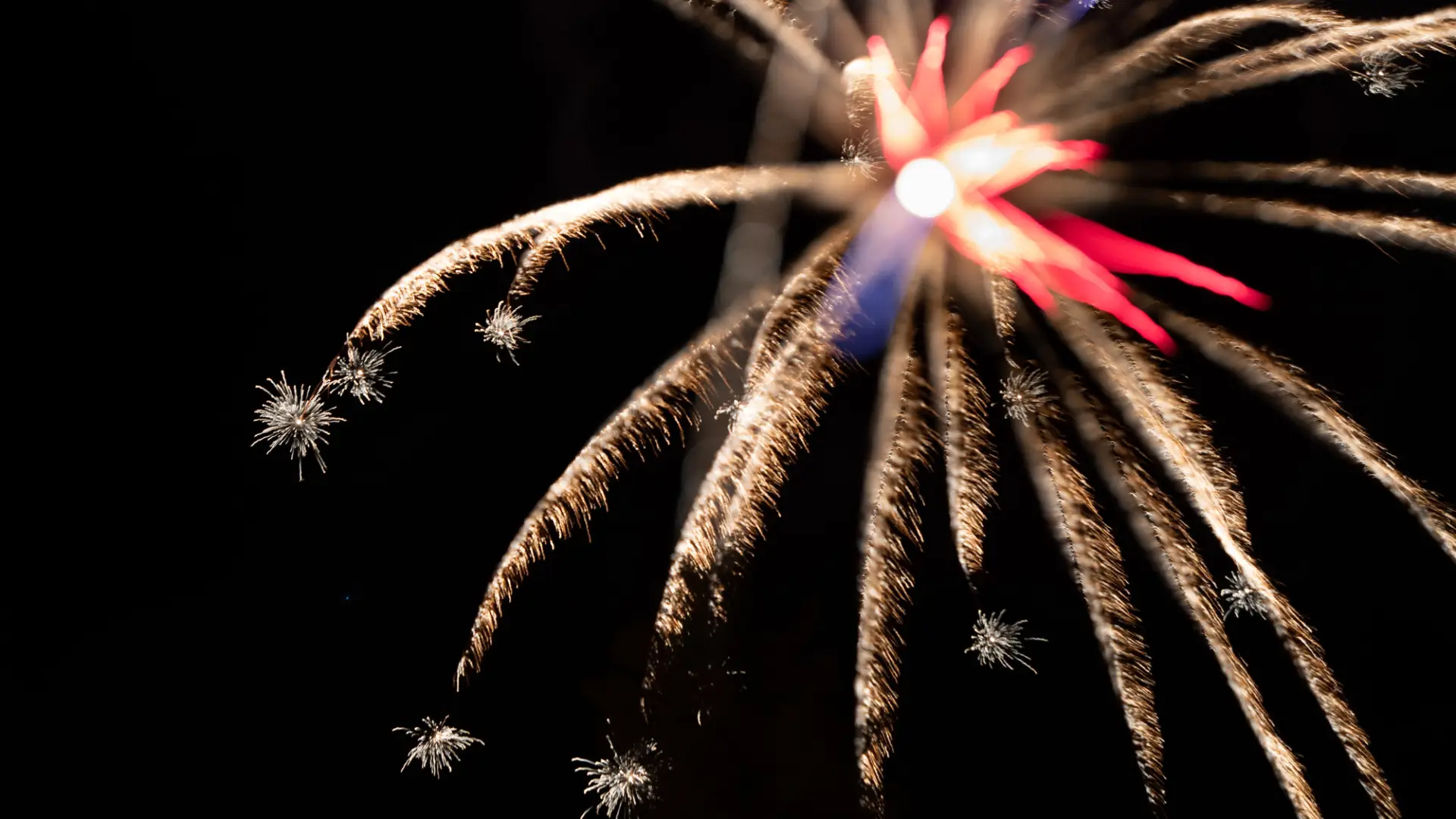 Firework bursting in air