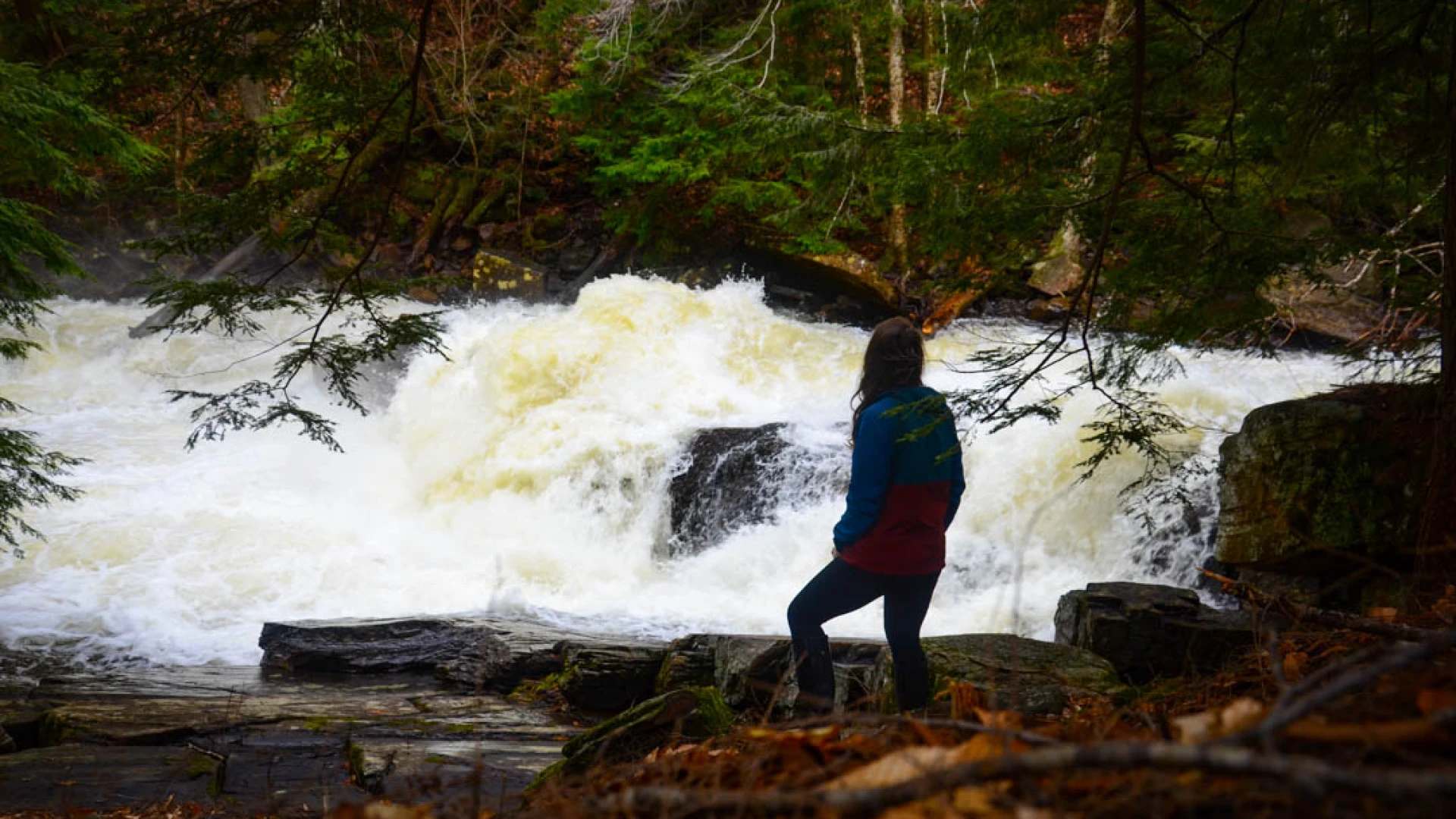 A woman watches Austin Falls from the shoreline