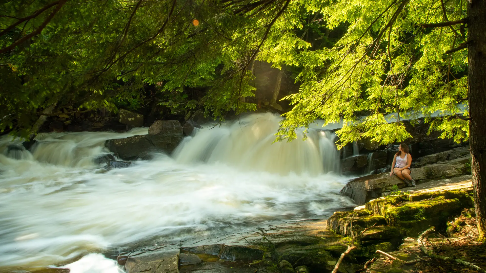 Austin Falls in Summer