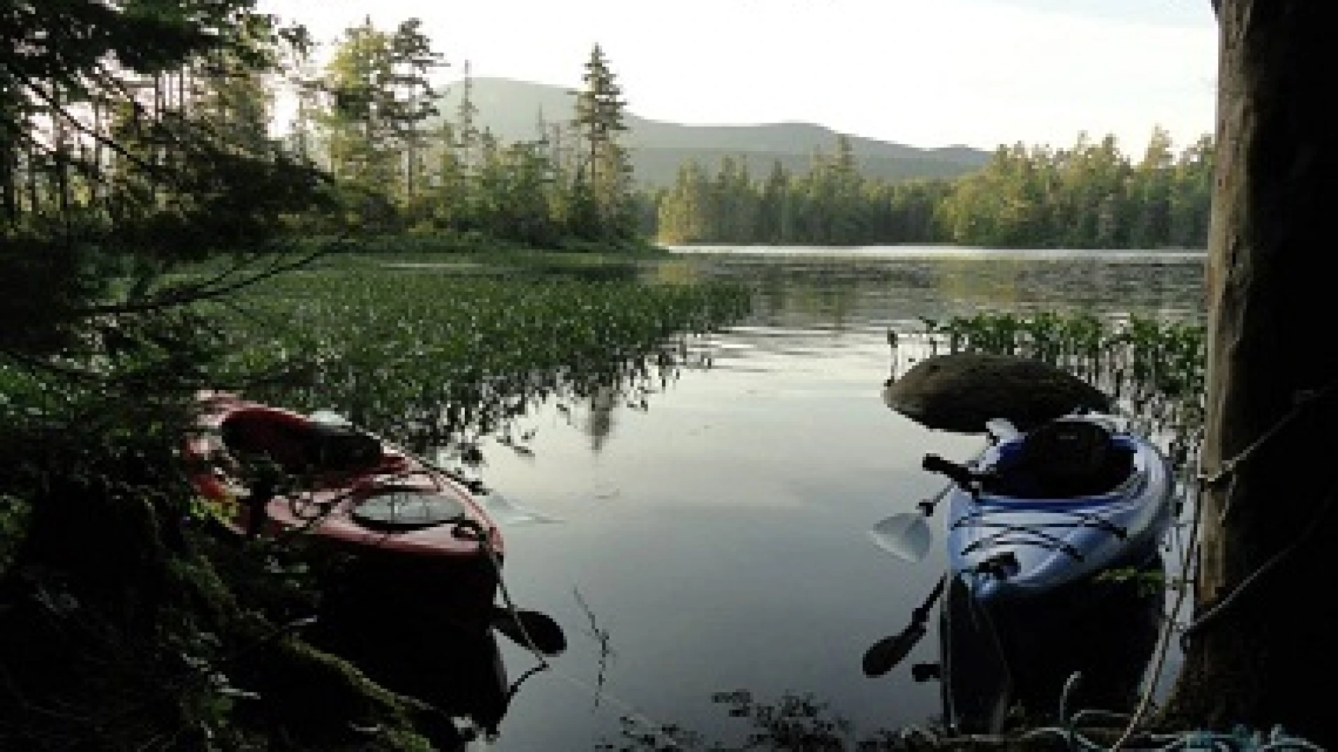 Two kayaks sit on the shore of Lake Durant