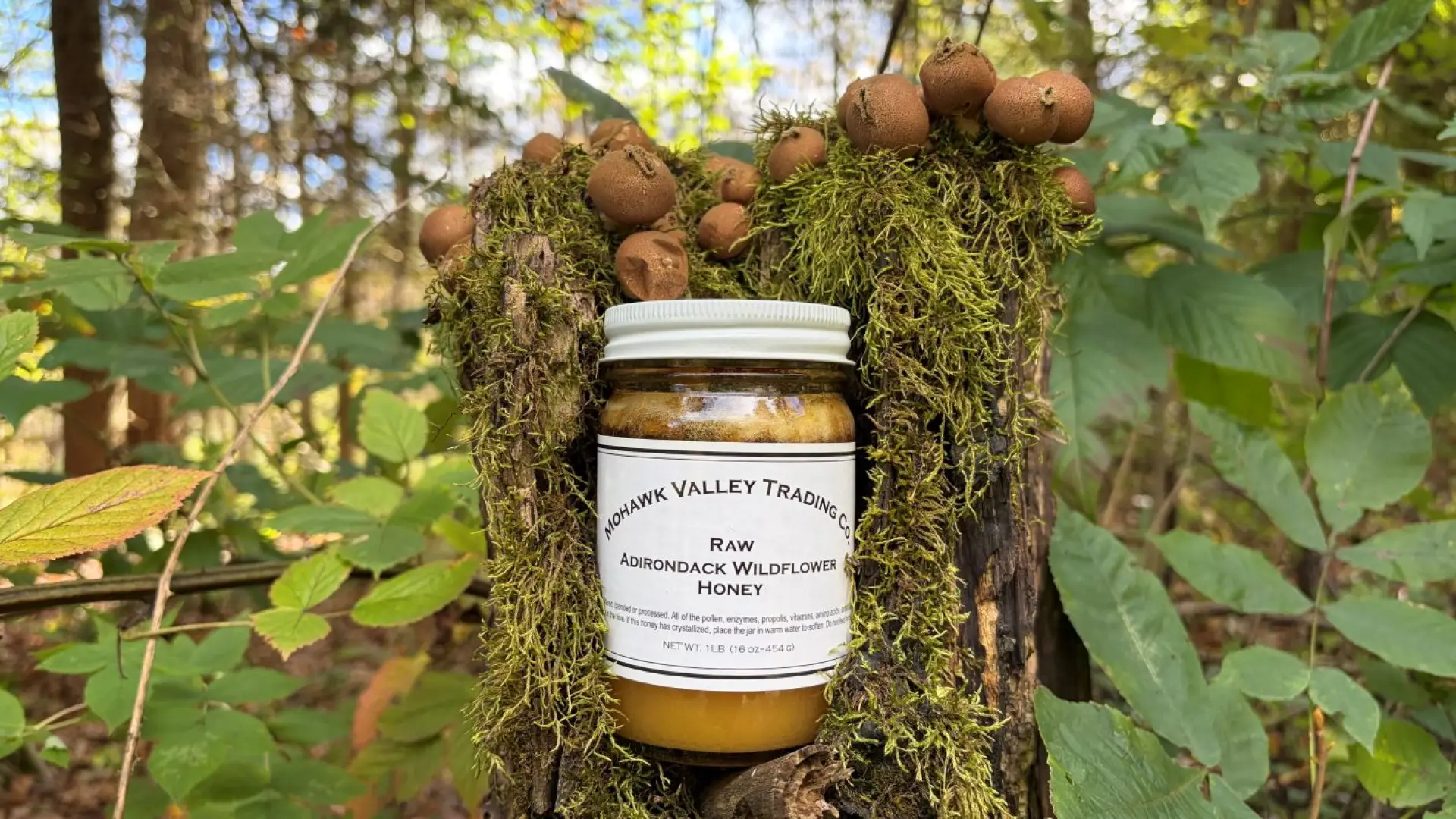 Adirondack Wildflower Honey Raw