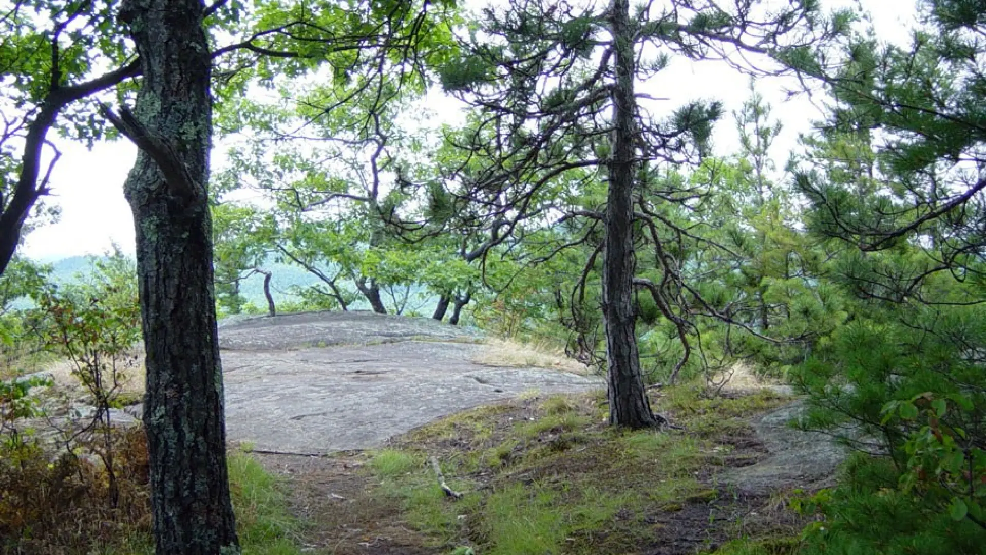 The view starts opening up on the viewing ledge for Blueberry Cobbles.