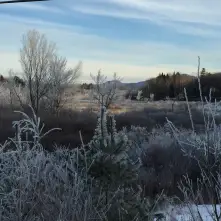 Beatiful winter scenery on the way to Round Pond.