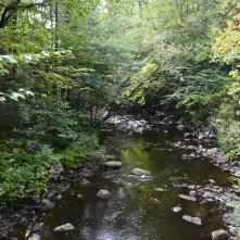 Sumner Stream is in a fine brook trout area.
