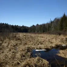 A great introduction to the famous Northville-Placid Trail.