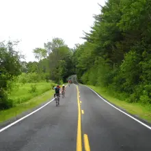 Cycling on a nicely paved road amongst green trees