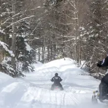 Enjoy deep forest trails near Piseco Lake.