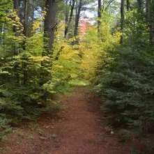 Long, scenic, and secluded, the Kunjamuk River Trail is all you need.