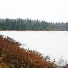 Oswego Pond is gorgeous in late fall.