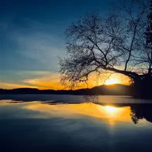 A golden sunset over the mountains behind Blue Mountain Lake, framed with the silhouette of a large tree.