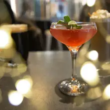 cocktail