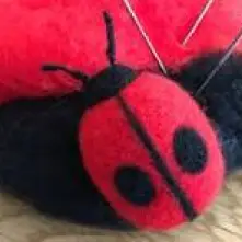 Lady Bug
