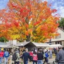 Piseco Rummage sale in fall