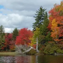 Limekiln Lake is a local favorite for seeing foliage.