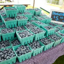 blueberries