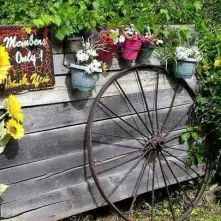 A wooden fence with flower planters hanging from the top with a sign reading "members only, thank you!"