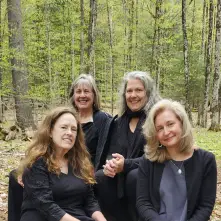 picture of the group of Soluna
