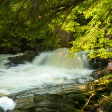 Austin Falls in Summer