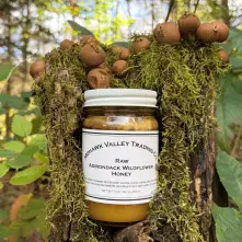 Adirondack Wildflower Honey Raw