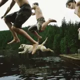 Kids and a dog jump from a dock into the water