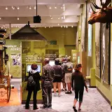 A large room with green walls and high ceilings where people are viewing the plaques under various displays like a carriage and a moose.