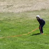 Tina doing recall with a dog