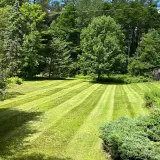 lawn mowed