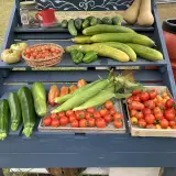 Farm Stand of Vegetables 