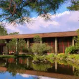 Pond and trees outside the museum