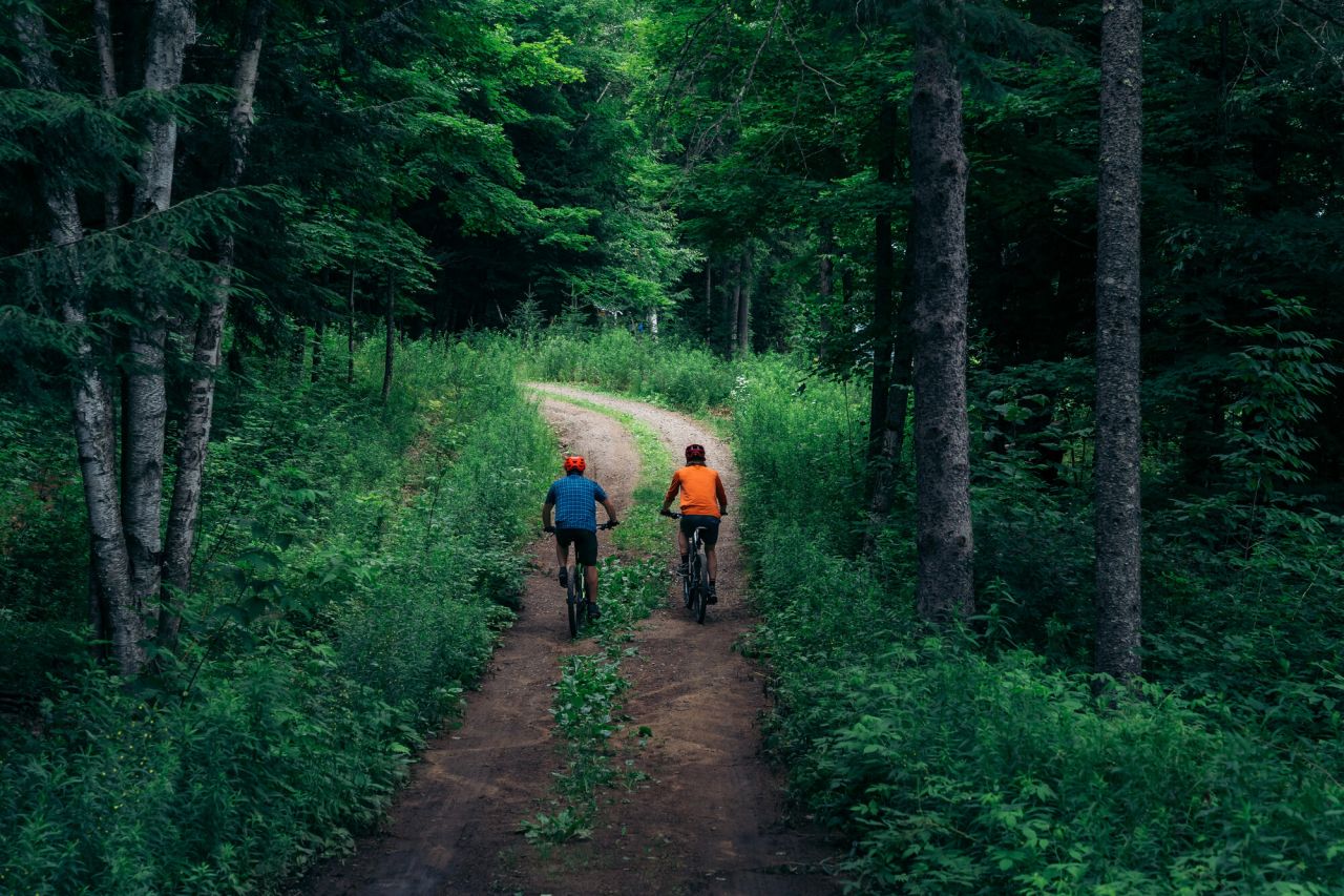 Two bikers on a wooded trail.
