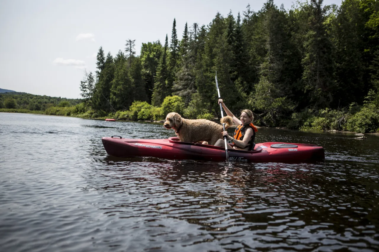 A woman paddles in a kayak with a golden doodle sitting in front.