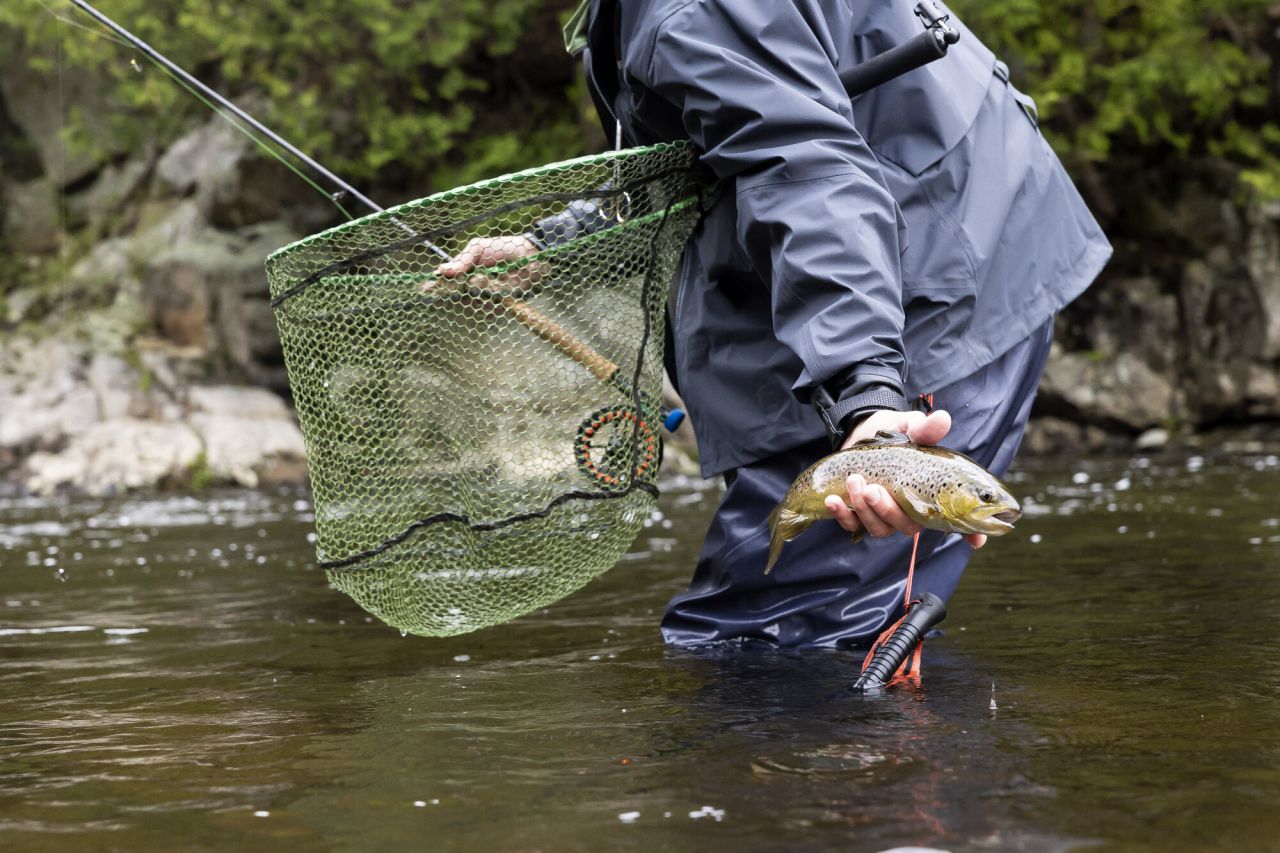 A fly fisherman catching a trout.