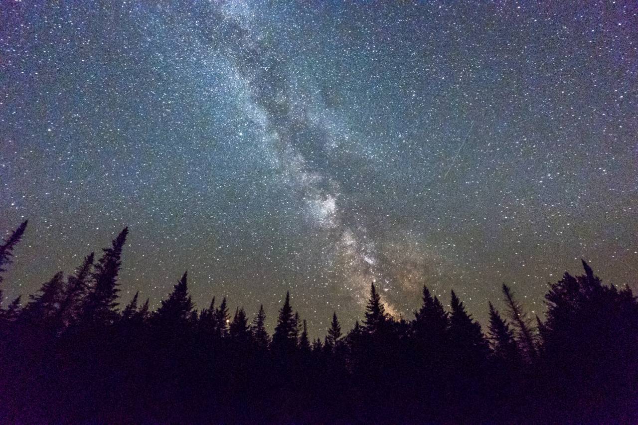 WFR-stargaze