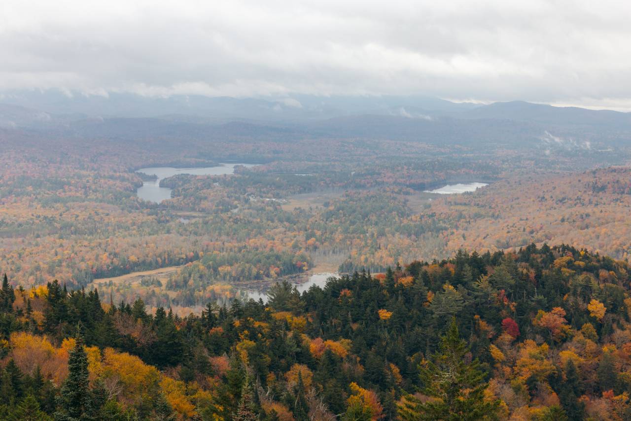 A misty mountain range in fall. 