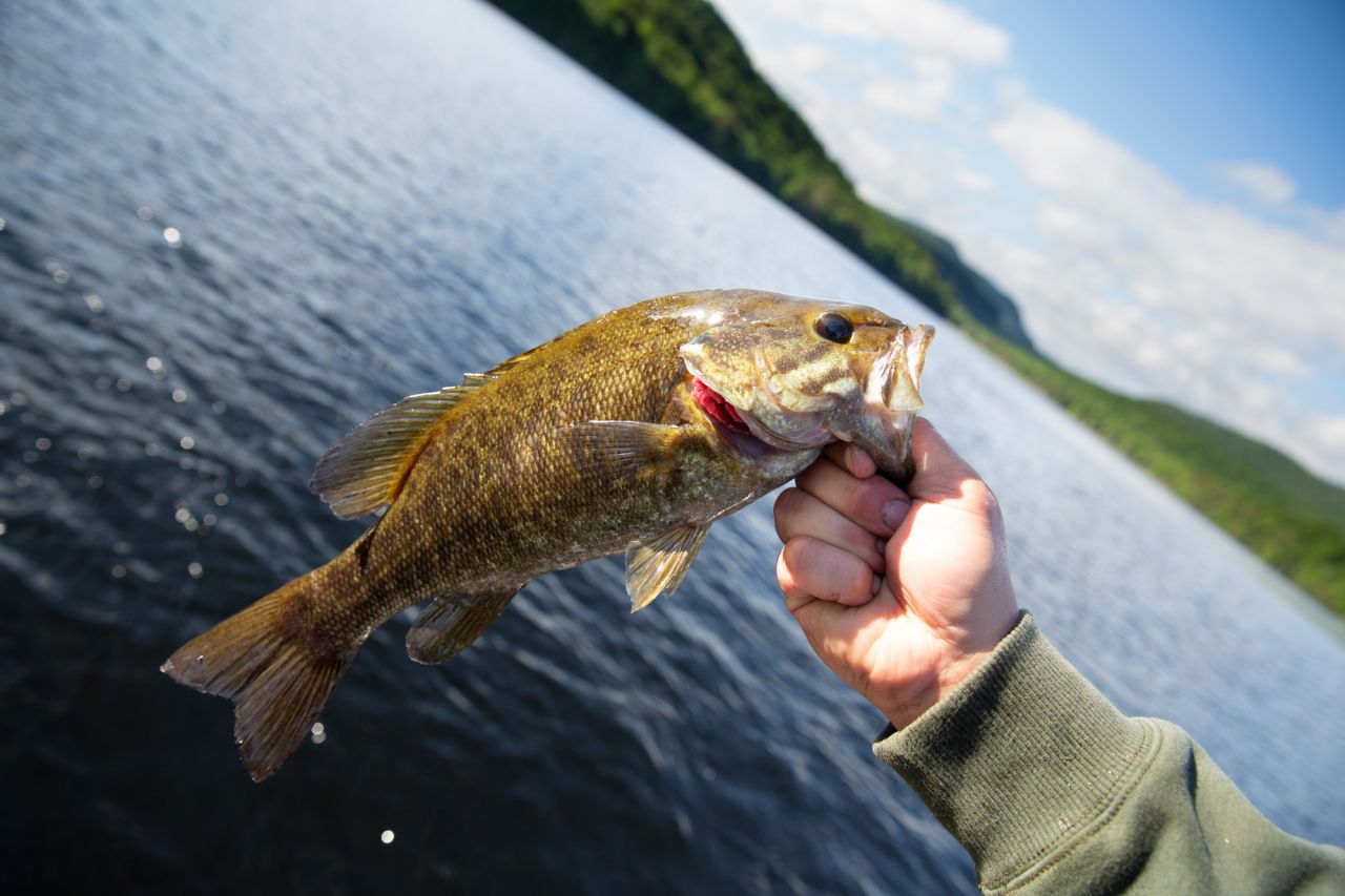 Tupper Lake bass