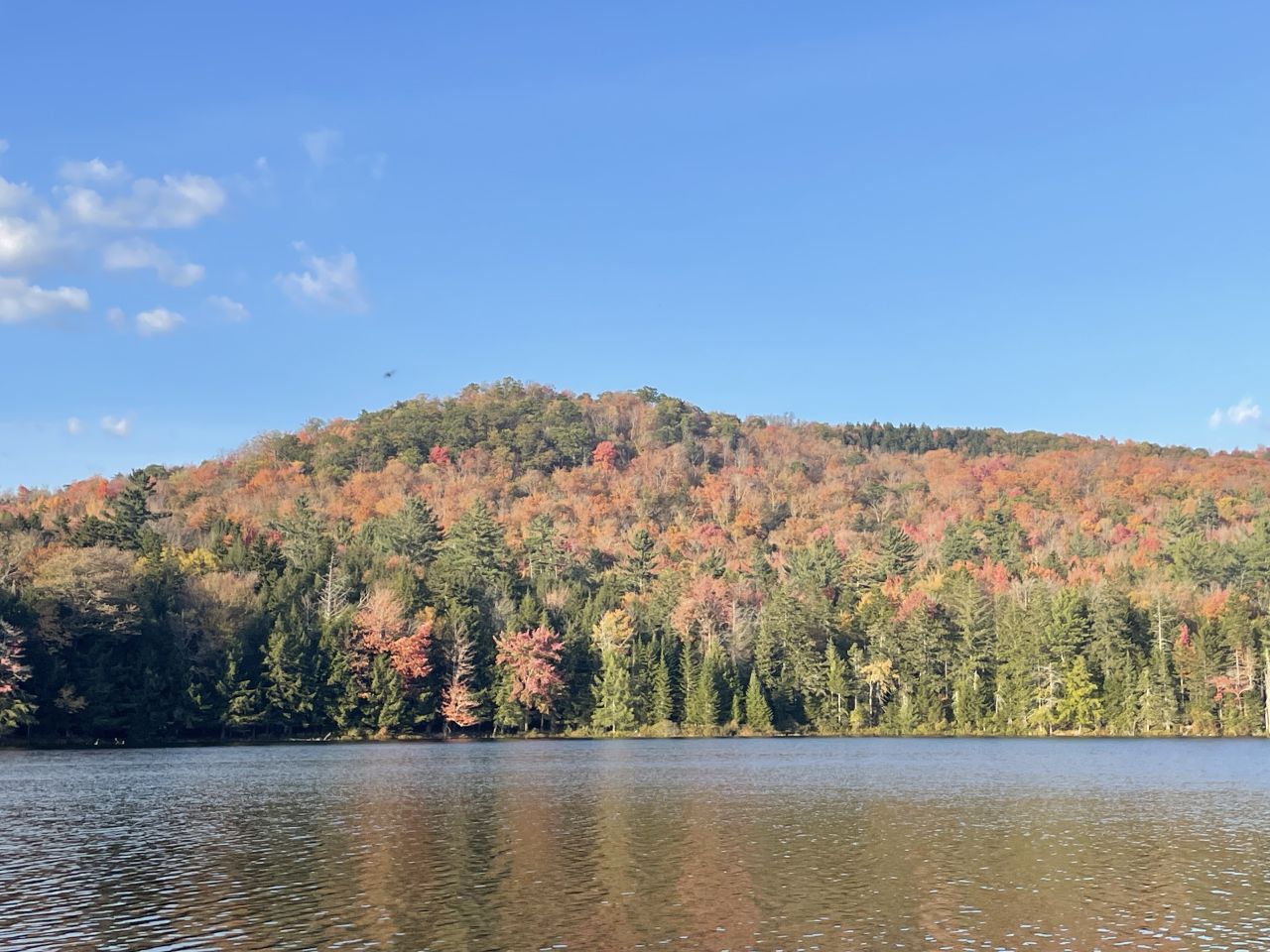 Fall foliage views in Hamilton County
