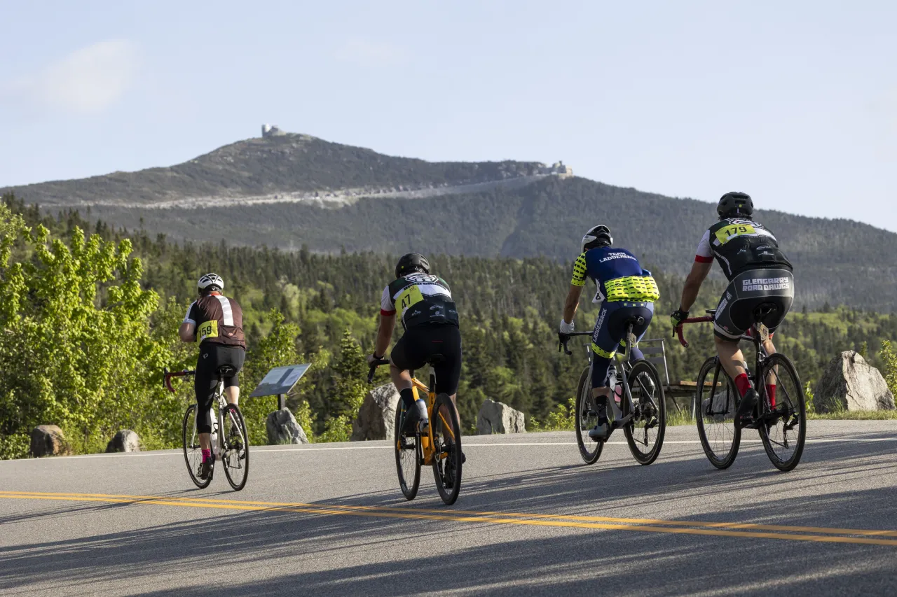 A group of cyclists ride up a mountain. 