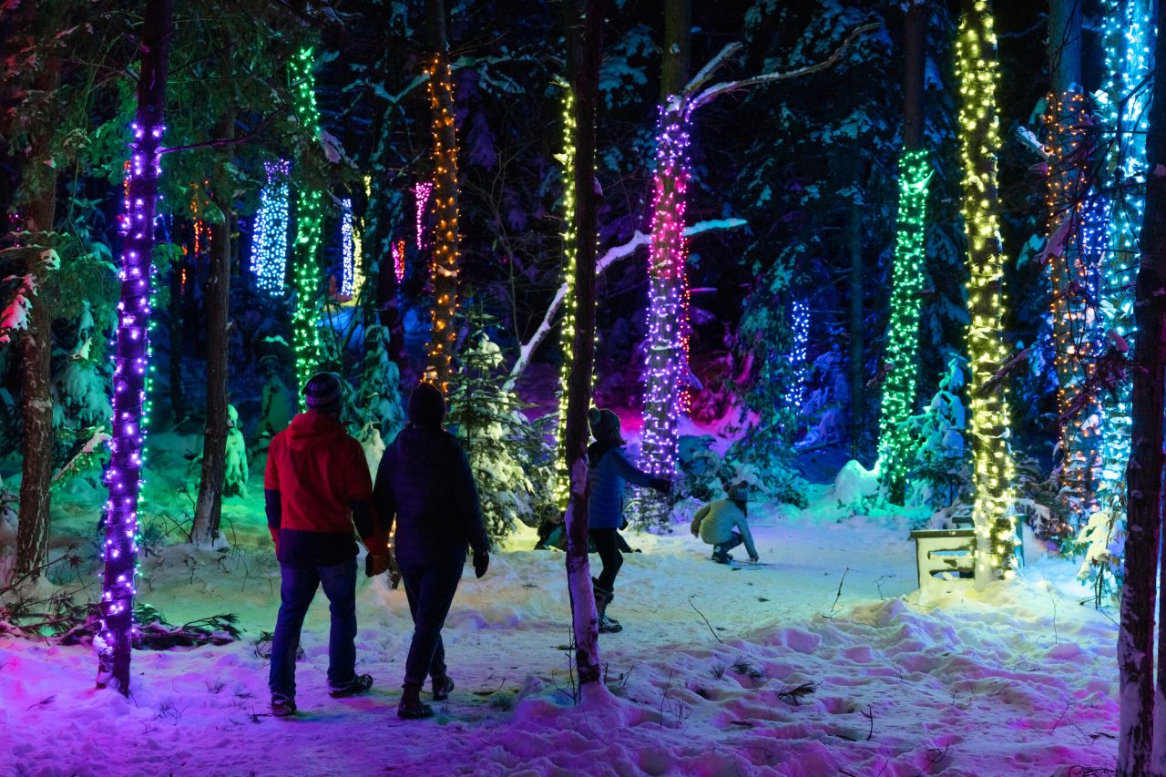 Adults and children walk through a snowy forest lit by multi-colored lights wound around the trees.