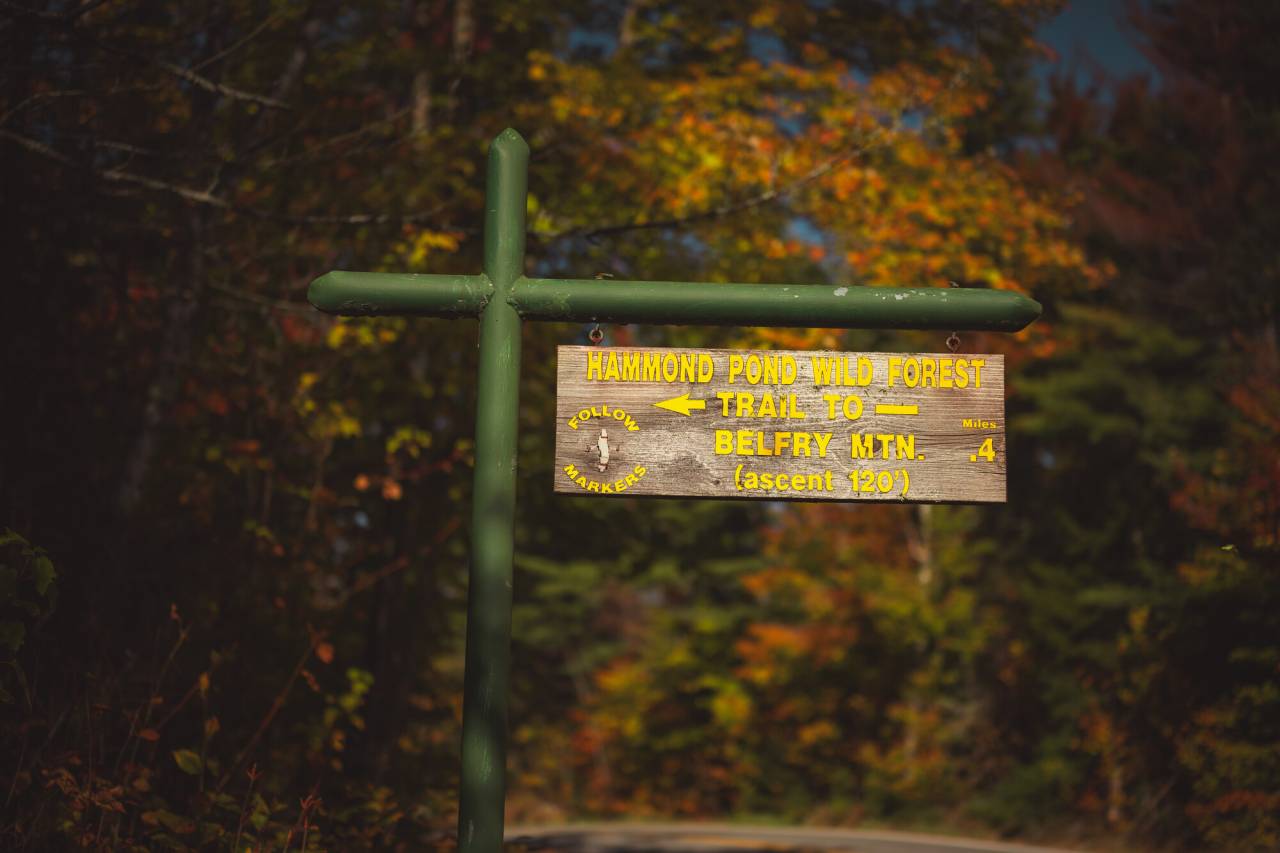 Trailhead signage for Hammond Pond Wilderness in North Hudson.
