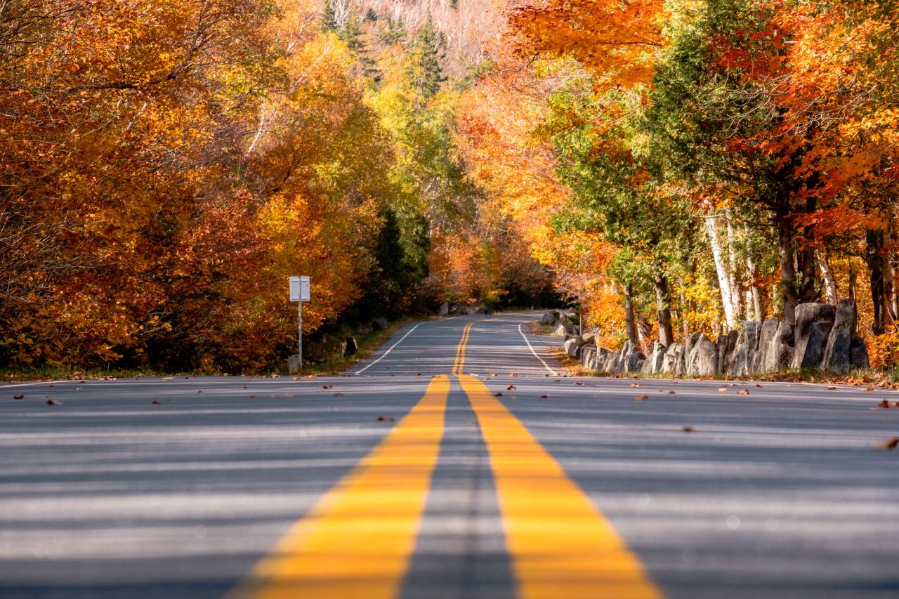 Fall foliage along a road in the Adirondacks.