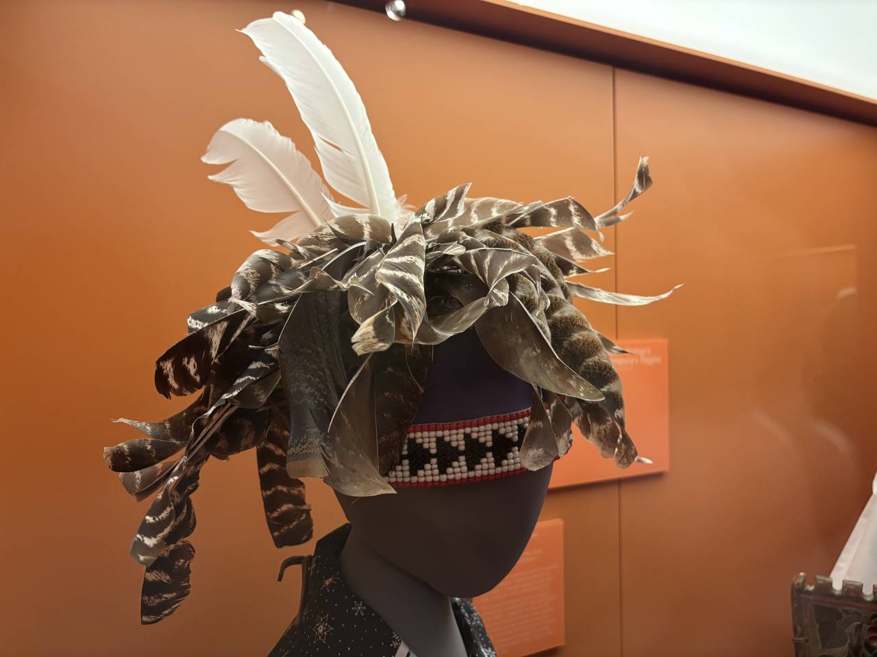 A gustoweh, a Kanienkeh (Mohawk) headdress on display at a museum. The gustoweh is made of feathers, bark, and twigs.