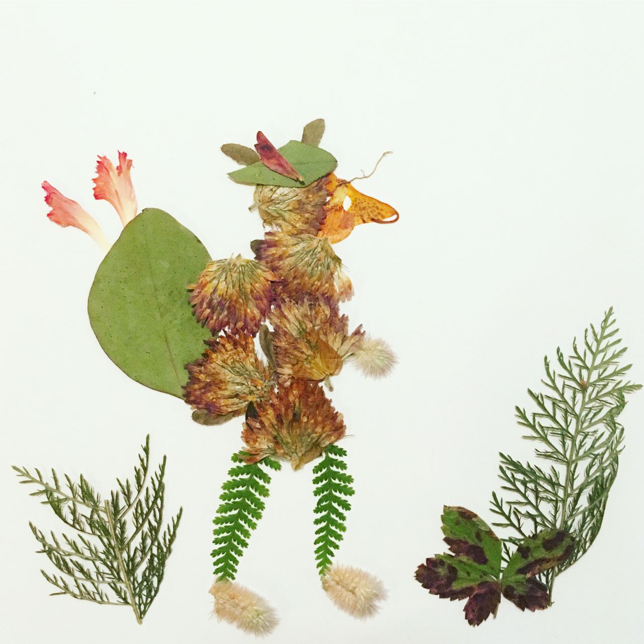Wildly Pressed animal artwork.