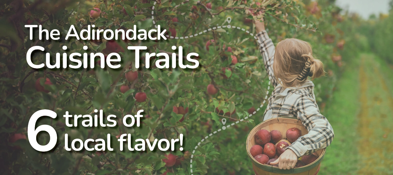 cuisine trail graphic