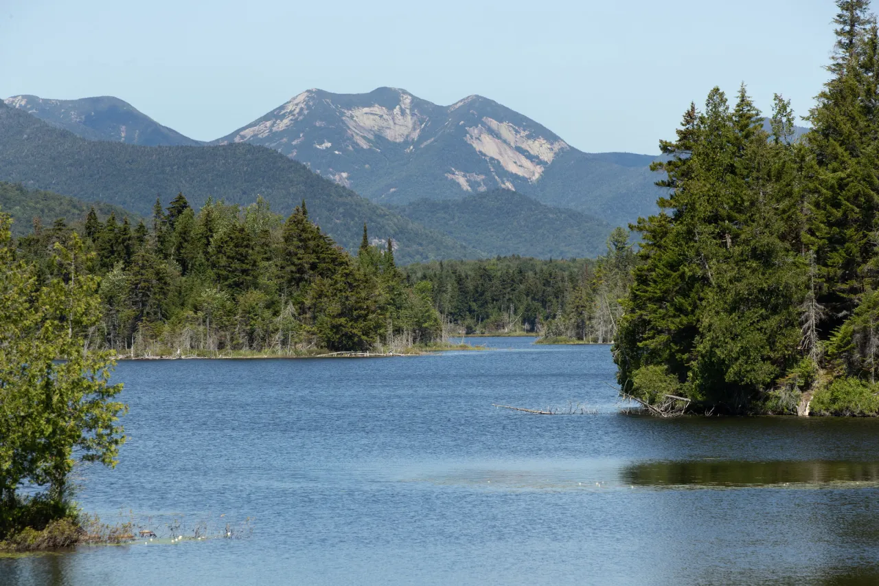 A lake with a giant mountain in the background in the summer.