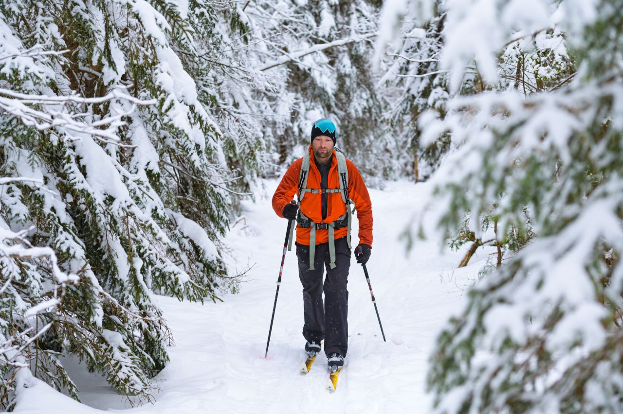 A cross-country skier on a winter trail.