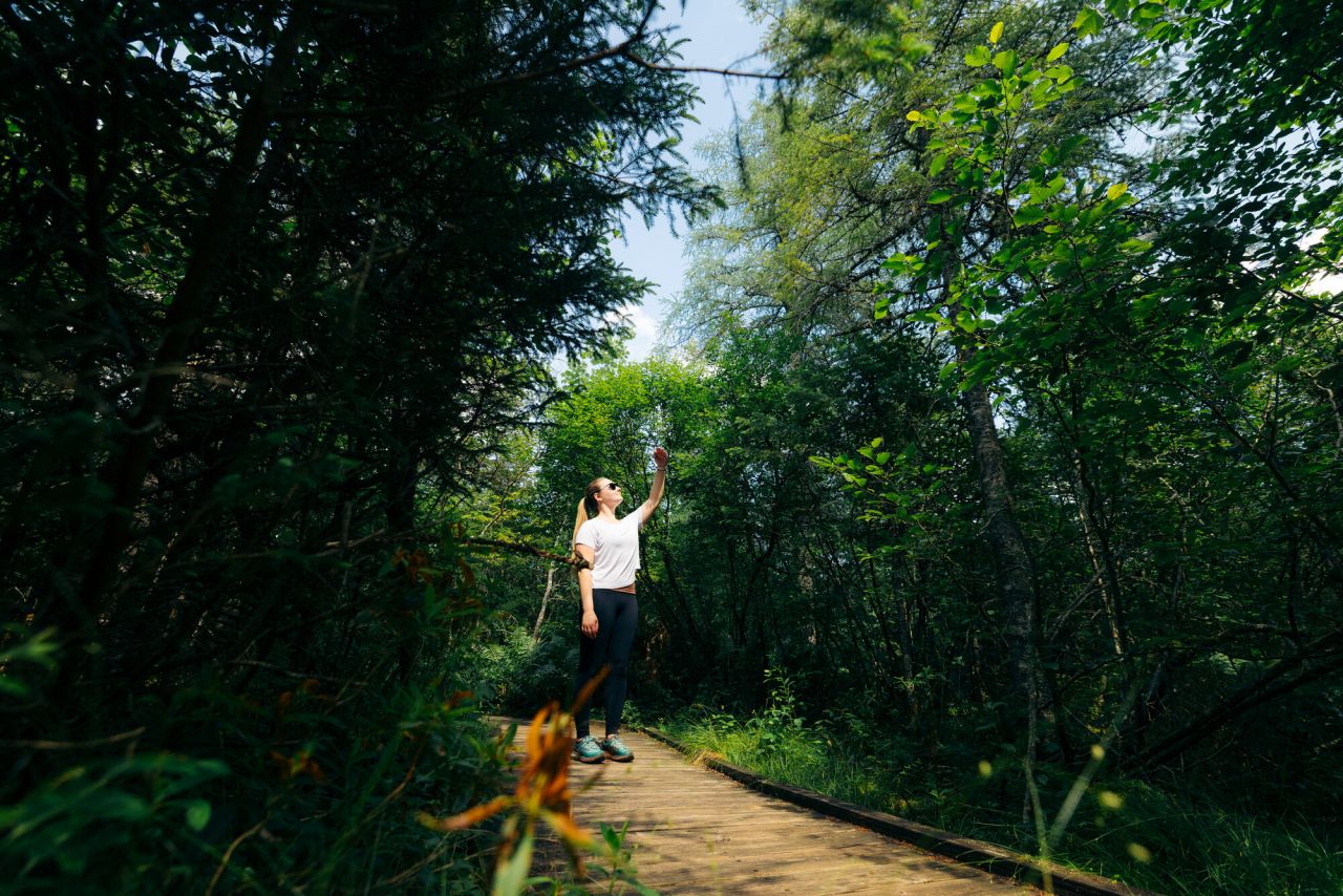 woman in athletic clothing stands on wooden boardwalk between thick green trees holding up phone taking picture of leaf