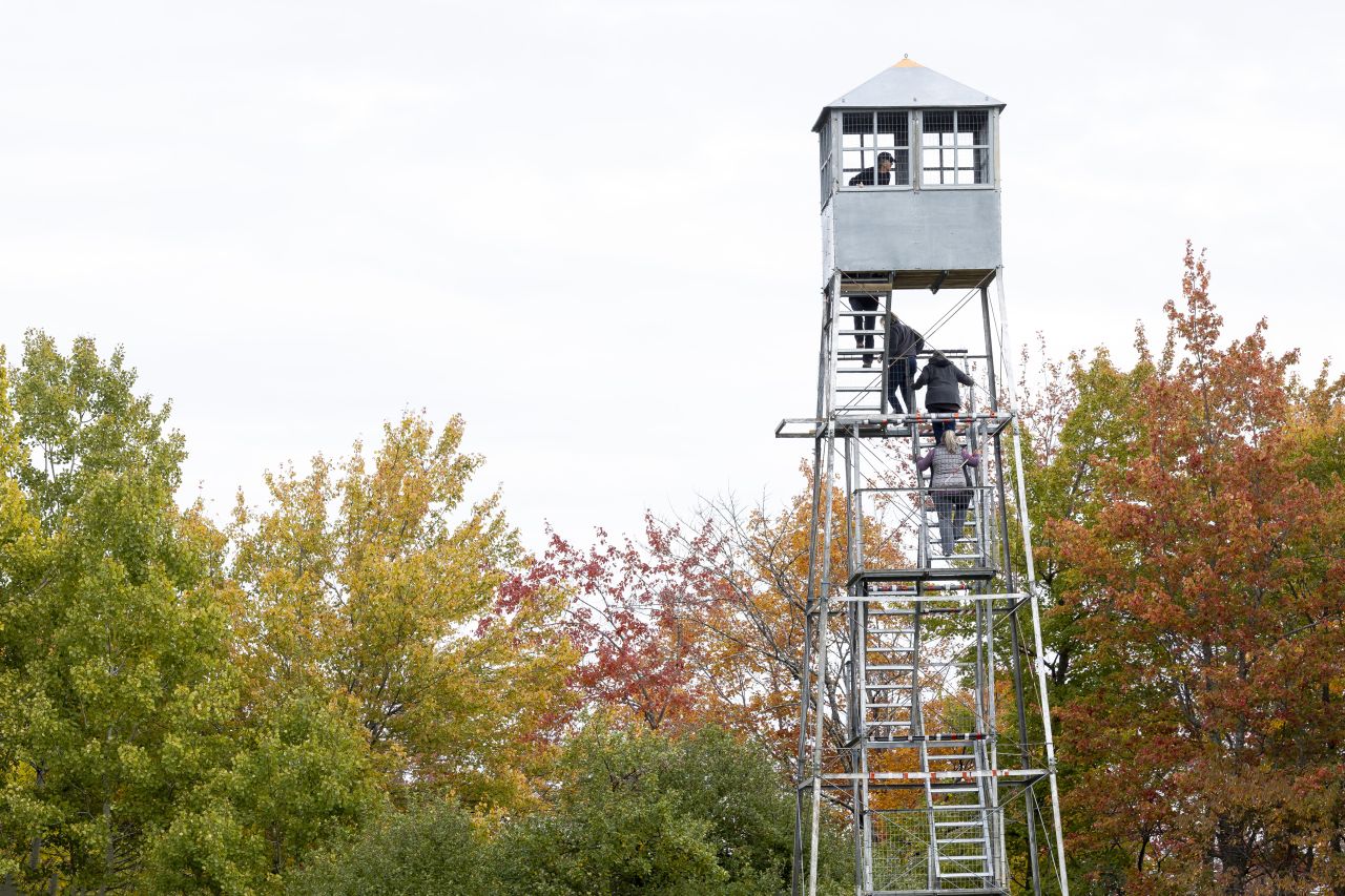 A fall fire tower hike.
