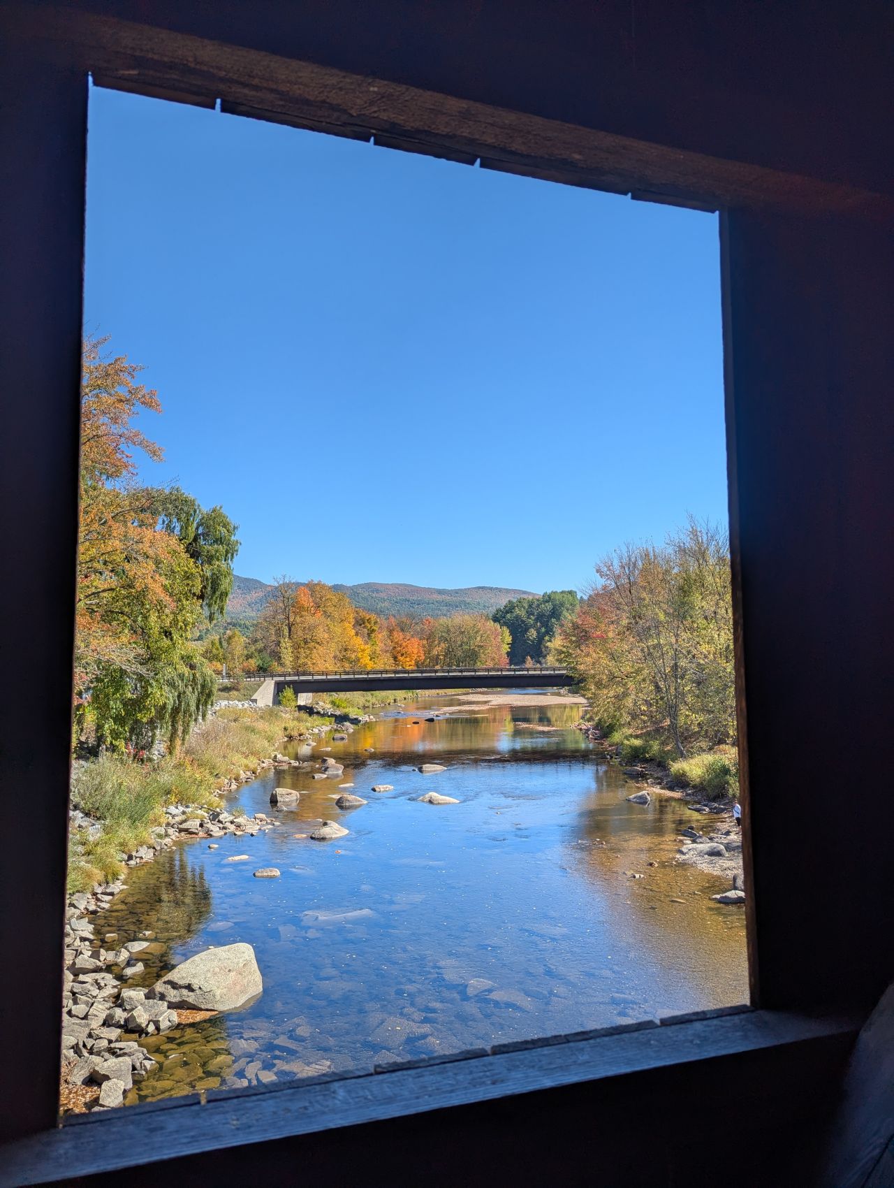 Fall foliage through a window.